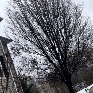 Meet your Posher, Samira